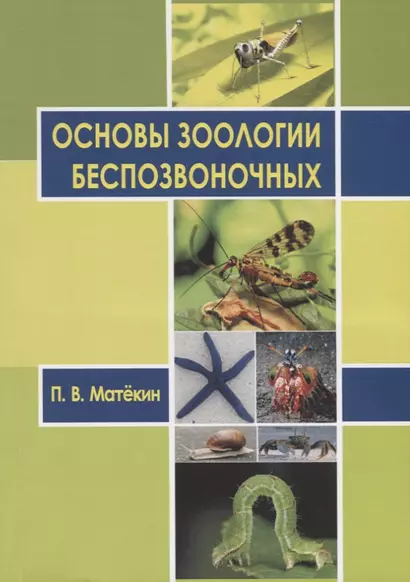 Основы зоологии беспозвоночных. Учебное пособие - фото 1