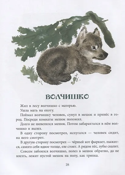 Томкины сны. Илл. автора - фото 3