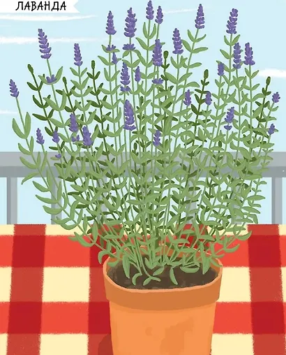 Насекомые. Моя первая книга наклеей - фото 4