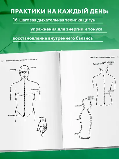 Традиционная китайская медицина. Современное руководство по древнему искусству «войны» с болезнями - фото 7