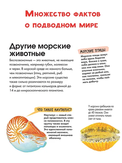 Подводный мир - фото 4