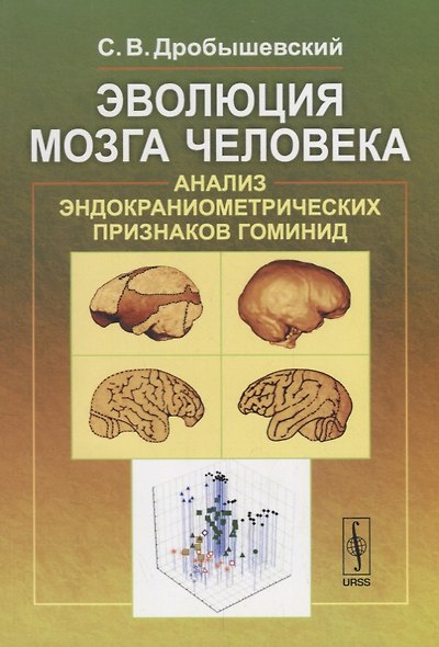 Эволюция мозга человека: Анализ эндокраниометрических признаков гоминид - фото 1