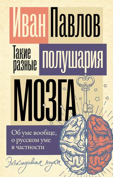 Такие разные полушария мозга. Об уме вообще, о русском уме в частности - фото 1