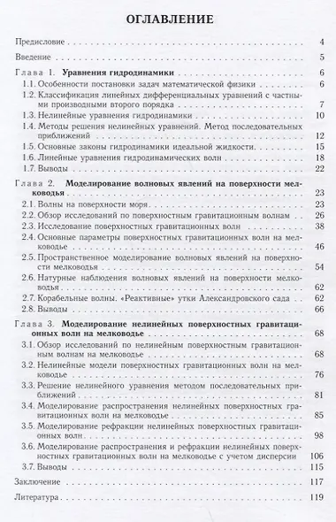 Моделирование нелинейных волновых явлений на поверхности мелководья - фото 2