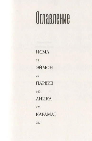 Домашний огонь - фото 2