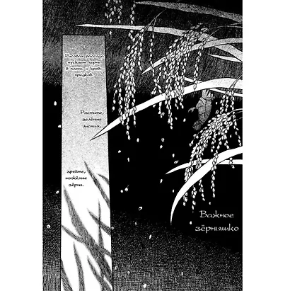 Знаток Муси. Бокс 1 (Комплект. Том 1-5) (Мастер Муси / Mushishi). Манга - фото 12