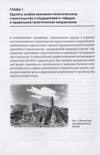 Формирование духа партии: - фото 5