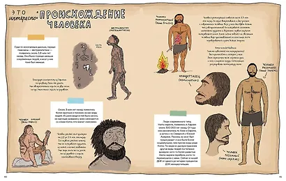 Камни и кости : Окаменелости и истории, которые они рассказывают - фото 3