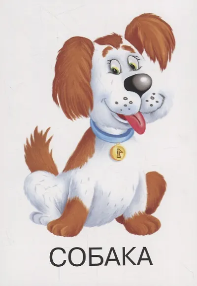 Животные - фото 2