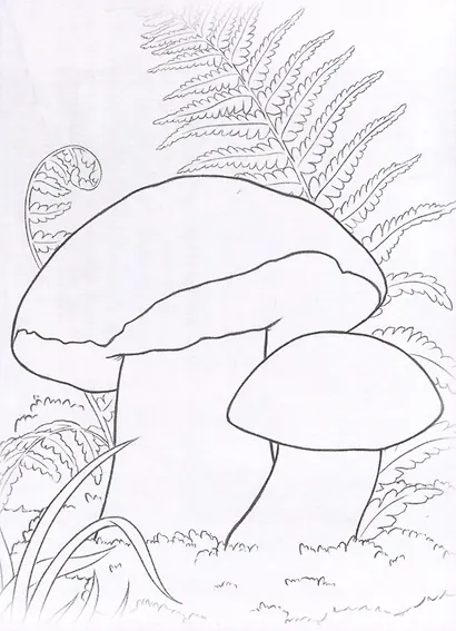 Красная книга. Земноводные, пресмыкающиеся и грибы. Посмотри и дорисуй - фото 4