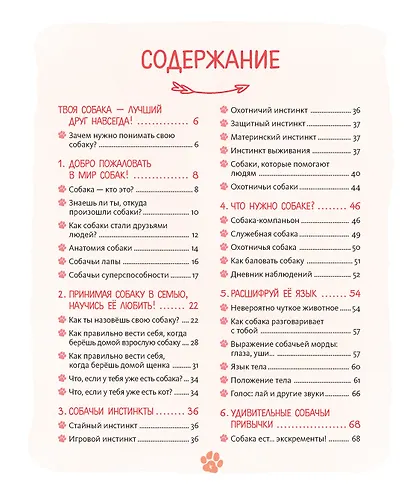 Я и моя собака. Как понять питомца и стать ему другом - фото 15