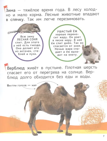 Животные. Энциклопедия для первого чтения с крупными буквами - фото 5