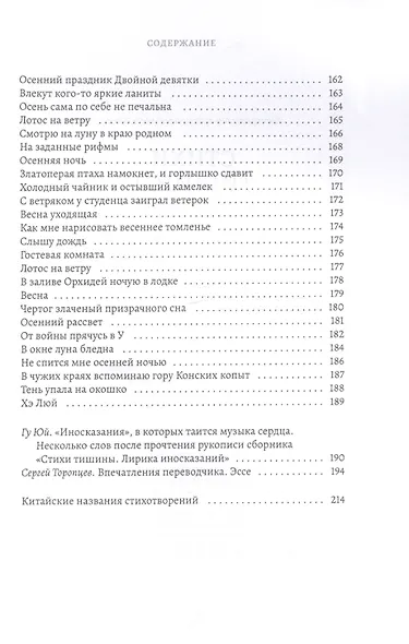 Стихи тишины. Лирика иносказаний - фото 6
