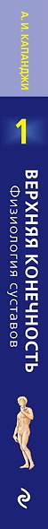 Верхняя конечность.Физиология суставов, 6-е изд. - фото 4