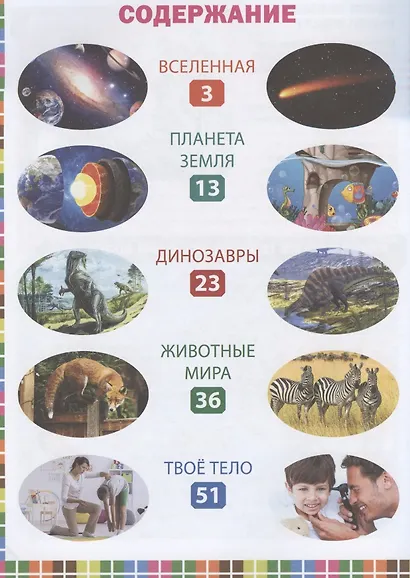 Лучшая книга маленького почемучки. Что? Когда? Почему? - фото 2