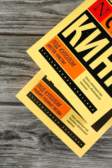 Под Куполом. Шестое чувство - фото 9