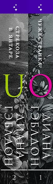 Комплект из 2 книг (Чужестранка + Стрекоза в янтаре) - фото 5