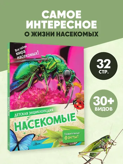 Насекомые - фото 4