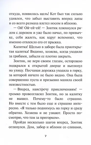 Большие приключения в Малом КуКошкино - фото 7