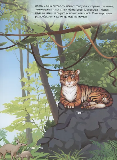 В джунглях. Книжка с многоразовыми наклейками - фото 3