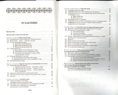 Хороведение и управление хором. Элементарный курс: Учебное пособие, 3-е изд., испр. - фото 2