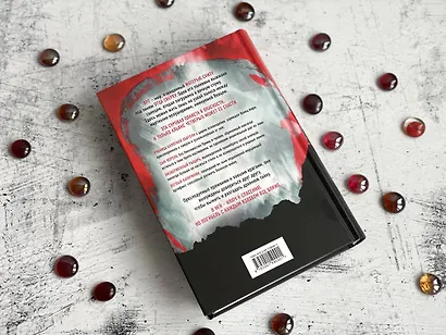 Беззвездный Венец - фото 10