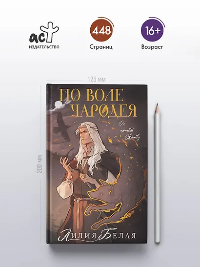 По воле чародея - фото 5