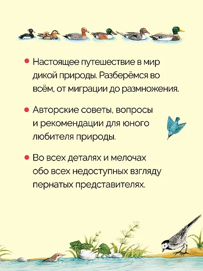 Книга о птицах. BIObook А. Толмачёва - фото 6