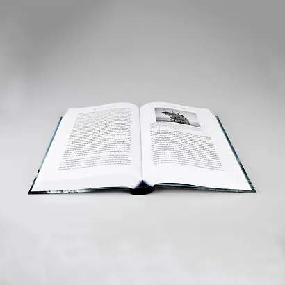 Океан вне закона: Работорговля, пиратство и контрабанда в нейтральных водах - фото 4