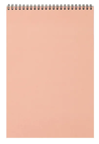 Геншин. Творческий блокнот cо стикерами A4. Изящная Фурина - фото 6