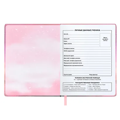 Дневник школьный Феникс+, "Серый пушистик" - фото 4