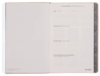 Еженедельник дат. 2026г. А5 80л "Буйвол" бежевый, кожзам, мягк.переплет, блинт.тиснение, офсет, справ.мат-лы, вырубка, закругл.углы, 2 ляссе, инд.уп - фото 3