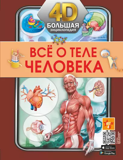 Всё о теле человека - фото 1