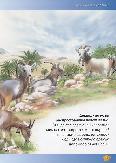 Самая красивая энциклопедия животных - фото 5