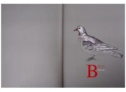 Большая кулинарная книга. Мясо и птица - фото 5