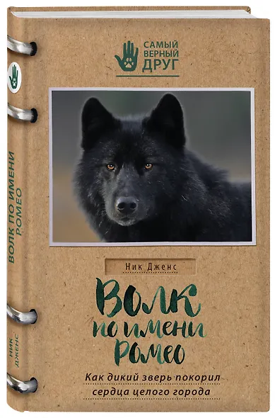 Волк по имени Ромео. Как дикий зверь покорил сердца целого города - фото 3