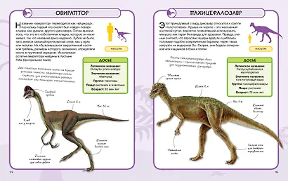 Динозавры - фото 8