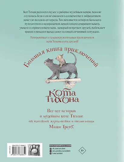 Большая книга приключений кота Тихона - фото 2
