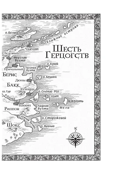 Сага о Видящих. Книги 1 и 2. Ученик убийцы. Королевский убийца - фото 8