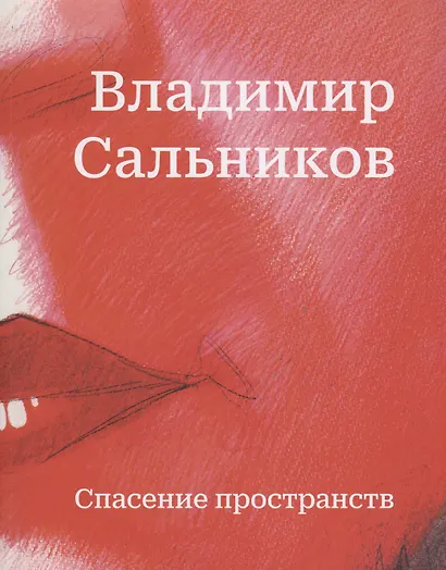 Владимир Сальников. Спасение пространств - фото 1