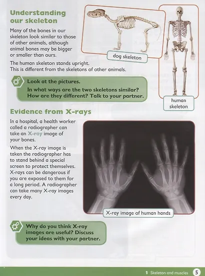 Max Science primary. Discovering through Enquiry. Student Book 4 - фото 4