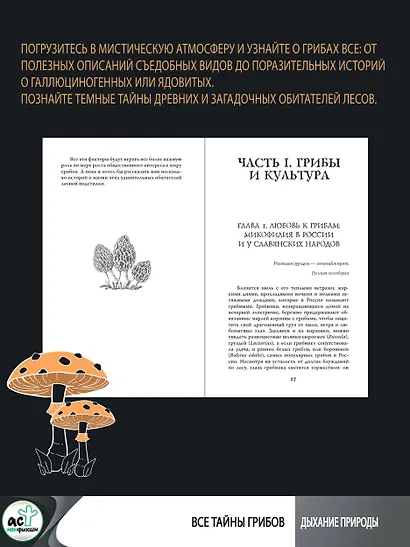 ЗаГРИБные истории. Тайны подземного царства - фото 6