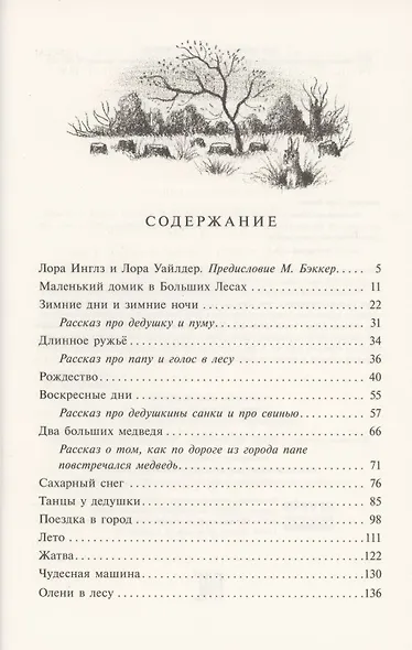 Маленький домик в Больших Лесах Маленький домик - фото 2