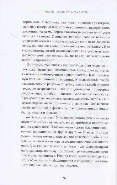 Кости: внутри и снаружи - фото 7