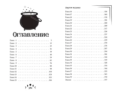 Амулет ведьмы - фото 13