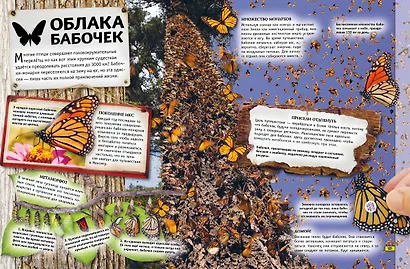 Животные. Книга юного эрудита - фото 8