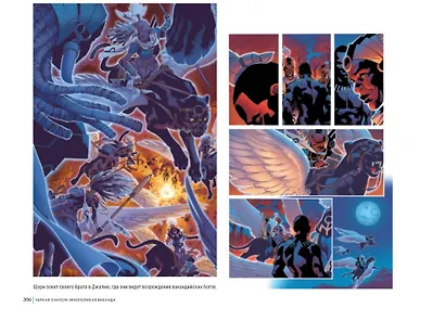 Чёрная пантера: многоликая Ваканда. - фото 9