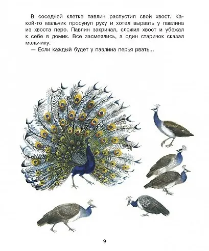 Рассказы о животных для детей - фото 5