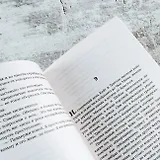 Девять вязов - фото 7