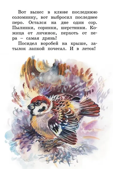 С днем рождения! Рассказы о животных - фото 6